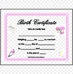 10 Editable Birth Certificate Template Sampletemplatess Within Girl Birth Certificate Template