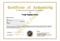 12+ Certificate Of Authenticity Templates Word Excel Samples With Professional Certificate Of Authenticity Template