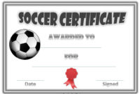 13+ Soccer Award Certificate Examples Pdf, Psd, Ai Regarding Soccer Award Certificate Templates Free