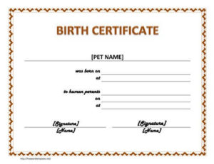 8+ Free Birth Certificate Templates And Examples (Word & Pdf) With Official Birth Certificate Template