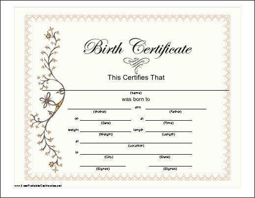 Blank Birth Certificate | Pretty Pink Bordered Birth Within Girl Birth Certificate Template