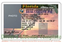 Blank State I.d. Templates Pdf | Id Card Template, Drivers Within Florida Id Card Template