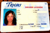 Blank State Id Template | Datanta | Drivers License, Id Regarding Best Texas Id Card Template