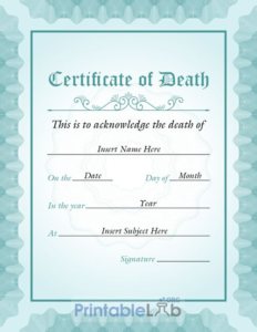 Blank Vertical Death Certificate Sample In Onahau, Sinbad Pertaining To Quality Fake Death Certificate Template