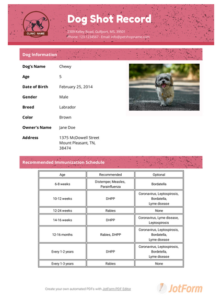 Dog Shot Record Template Pdf Templates | Jotform Regarding Dog Vaccination Certificate Template