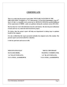 Fit To Fly Certificate Template Images Certificate For Fit To Fly Certificate Template