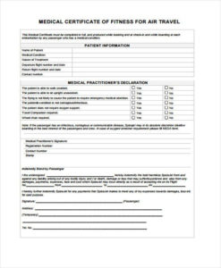 Fit To Fly Certificate Template In 2020 | Certificate For Best Fit To Fly Certificate Template