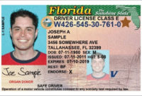 Florida Drivers License And Vehicle Registration | License Throughout Florida Id Card Template