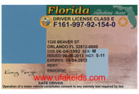 Florida Fake Id Template – Buy Best Fake Ids | Make A Fake With Regard To Professional Florida Id Card Template