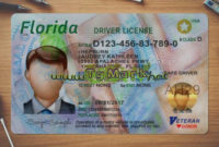 Florida Führerschein Psd Vorlage (Multi Vorlagen) Regarding Florida Id Card Template