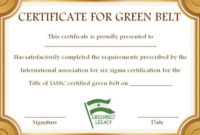 Green Belt Certificate: 10 Unique And Beautiful Templates Inside Quality Green Belt Certificate Template