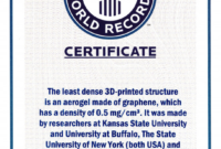 Guinness World Record Certificate Template Unique Guinness Regarding Printable Guinness World Record Certificate Template