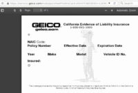 Insurance Identification Card Template Awesome Geico Id Card Regarding Auto Insurance Id Card Template
