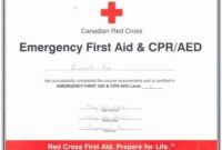 Pinshydothoe On Goals In 2020 | Cpr Card, Certificate For Professional Cpr Card Template