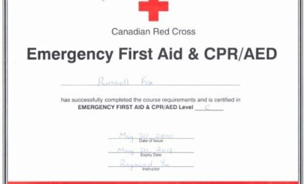 Pinshydothoe On Goals In 2020 | Cpr Card, Certificate For Professional Cpr Card Template