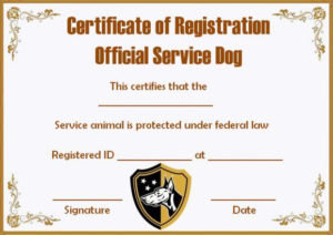 Service Dog Papers Template | Service Dogs, Service Animal With Regard To Service Dog Certificate Template