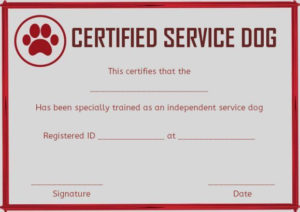 Service Dog Training Certificates Template | Certificate Pertaining To Service Dog Certificate Template
