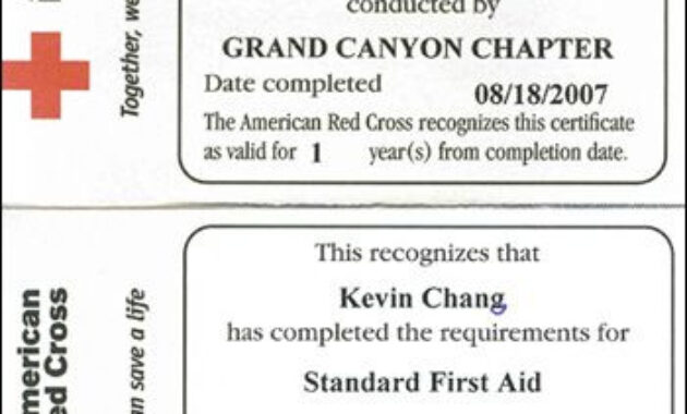 Simple First Aid Cpr Certification | Cpr Certification With Regard To Professional Cpr Card Template