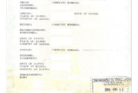 South African Birth Certificate Template In 2020 | Birth In Best South African Birth Certificate Template
