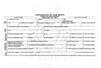 Us Birth Certificate Sample, How Does It Look Like | Uts Within Birth Certificate Template Uk