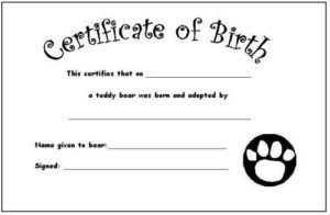 Your Teddy'S Certificate Of Birth | Birth Certificate For Quality Build A Bear Birth Certificate Template