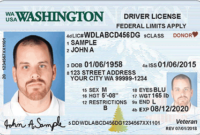 Amazing Blank Drivers License Template
