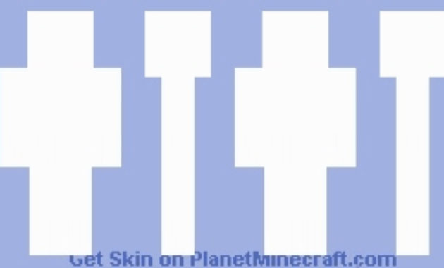 Fascinating Minecraft Blank Skin Template