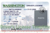 Free Blank Drivers License Template