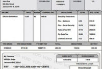 Professional Blank Pay Stubs Template