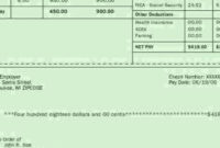 Simple Blank Pay Stubs Template