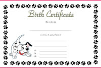 4 Blank Build A Bear Birth Certificate Template 95672 | Fabtemplatez inside Simple Fillable Birth Certificate Template