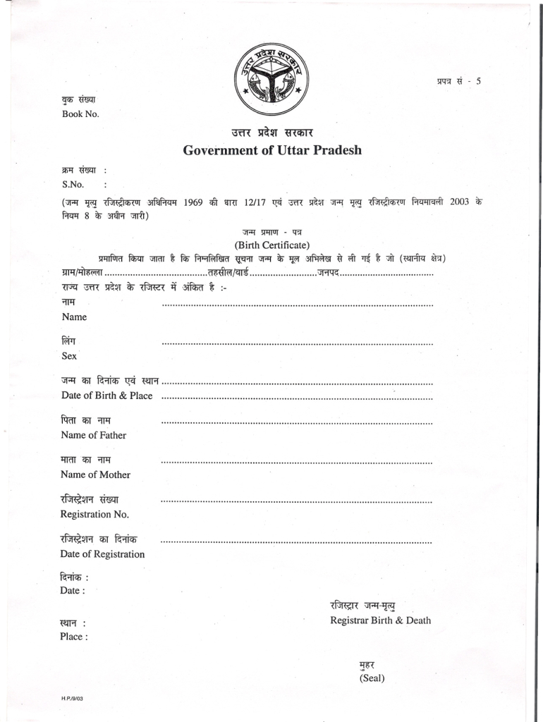 Birth Certificate Form In Hindi Pdf Up | Certificate Border with Blank Death Certificate Template 7 Documents