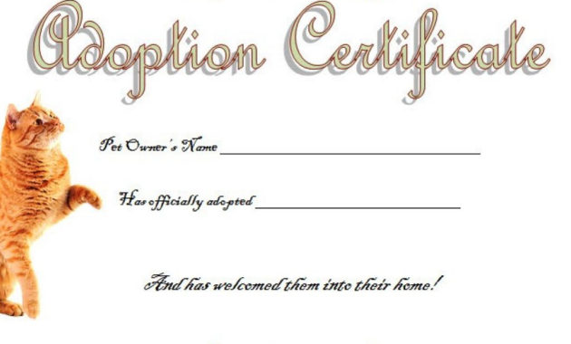 Cat Adoption Certificate Template Free 2020: 9+ Best Ideas with regard to Cat Adoption Certificate Templates