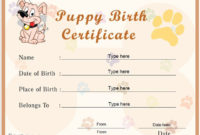 Free Cat Adoption Certificate Templates In 2021 | Birth Certificate regarding Fantastic Cat Adoption Certificate Template