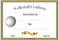Free Volleyball Certificate Templates - Customize Online pertaining to Netball Achievement Certificate Editable Templates