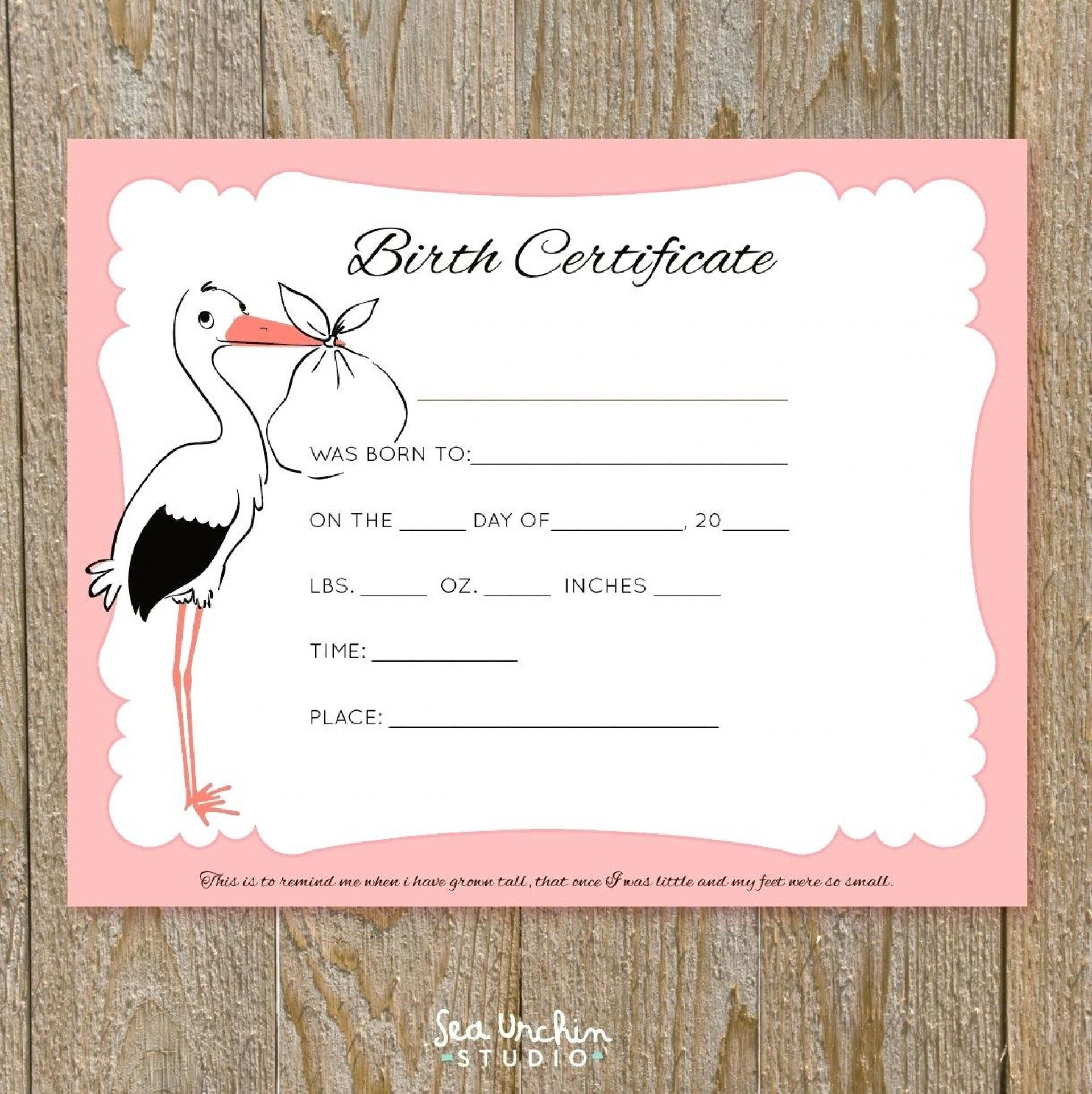 Impressive Free Birth Certificate Template Ideas Puppy Intended For for Amazing Cat Birth Certificate  Printable