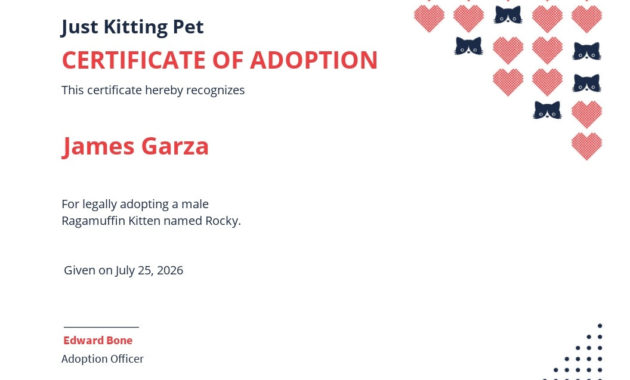 Kitten Adoption Certificate - The Y Guide inside Best Pet Adoption Certificate Template  23 Designs