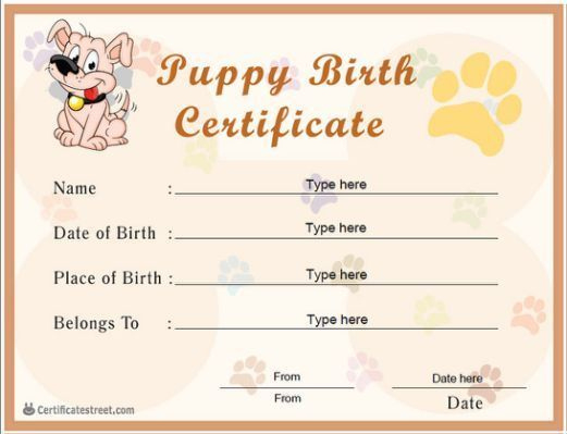 Printable Rabbit Adoption Certificate Template 6 Ideas Free In 2021 inside Free Rabbit Adoption Certificate Template 6 Ideas