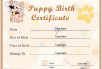 Puppies Vet Visit 06/21/2013 Birth Certificate Within Rabbit Adoption throughout Rabbit Adoption Certificate Template 6 Ideas