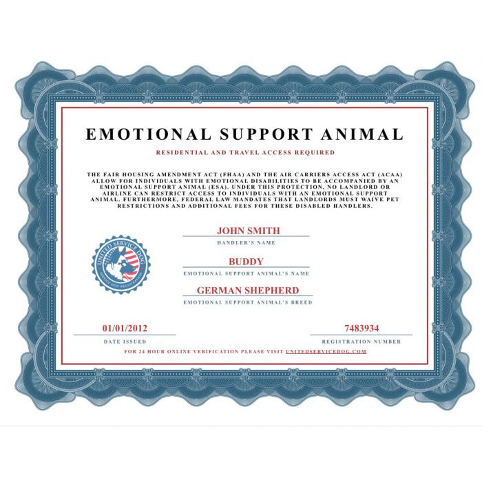 Service Dog Certificate Pdf Template Business Throughout Quality within Hip Hop Certificate Template 6 Explosive Ideas