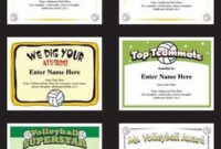 Volleyball Certificate Templates | Printable, Customizable Awards for Volleyball Tournament Certificate