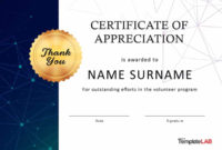 Volunteer Of The Year Certificate Template – Professional Template Ideas pertaining to Awesome Great Work Certificate Template