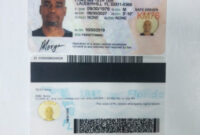 Florida Identification Card Template Guidelines