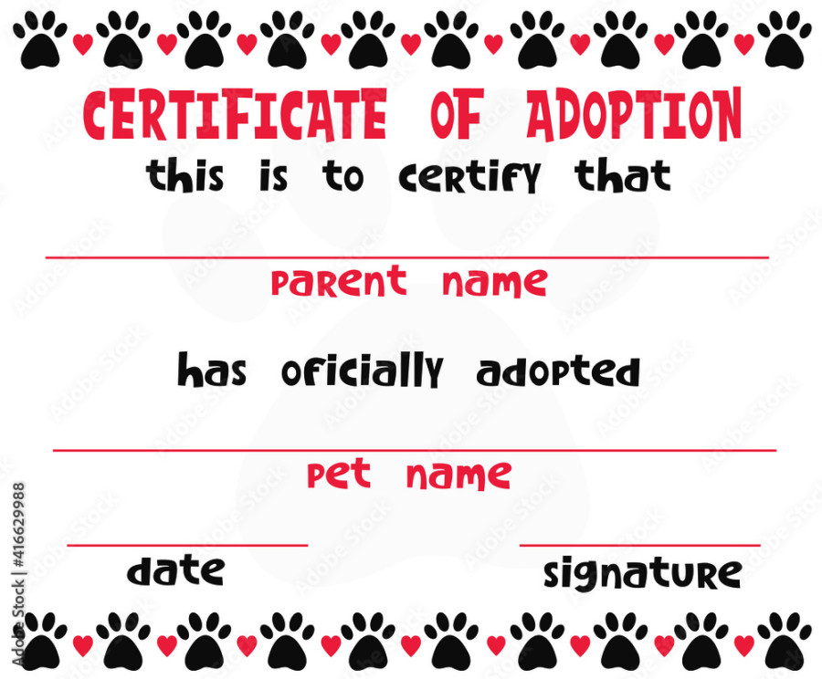 Pet adoption certificate vector template design