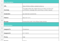Comprehensive Bug Summary Report Template