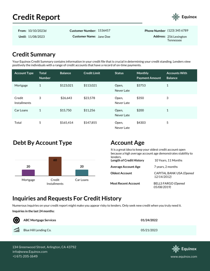 Credit Report Template - Venngage