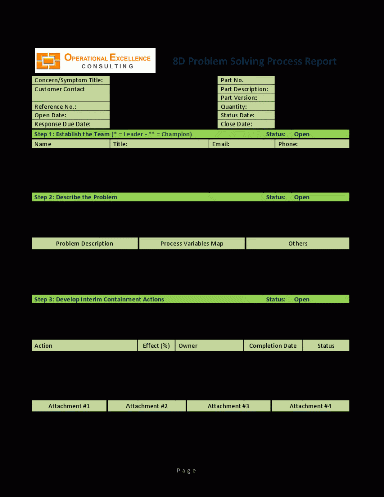 D Problem Solving Process Report Template Word