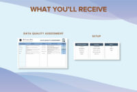 Data Quality Assessment Report Template