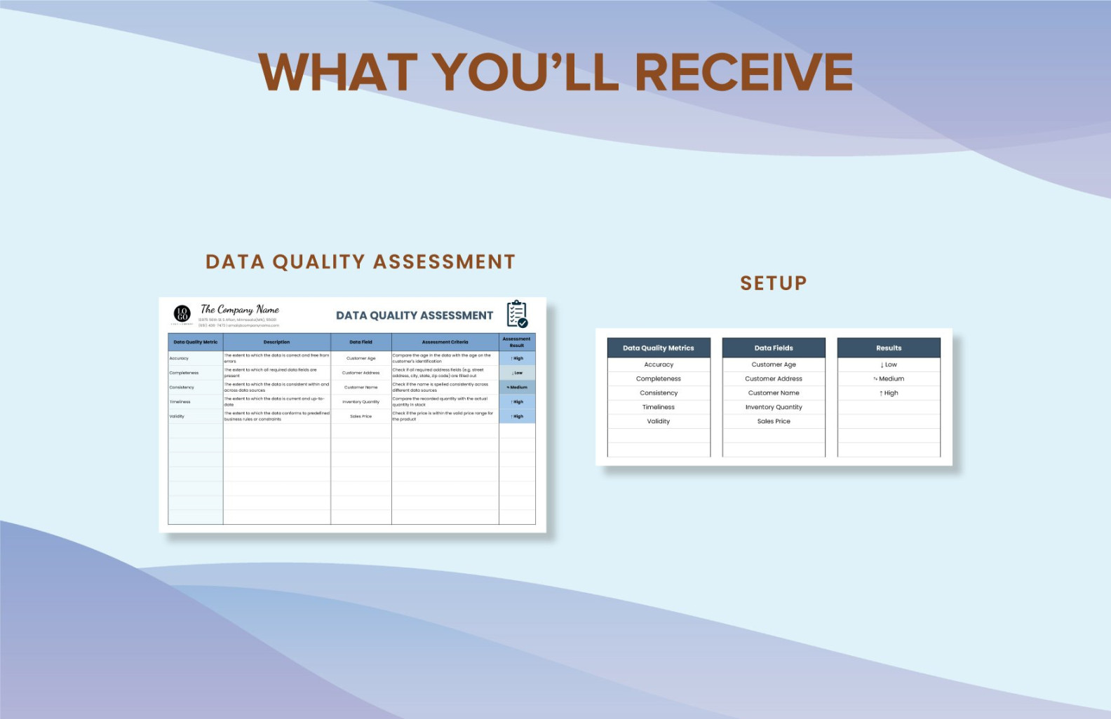 Data Quality Assessment Template in Excel, Google Sheets