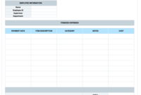 Daily Expense Report Template